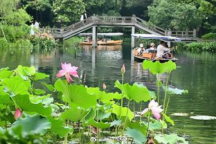 雷电竞app下载苹果版